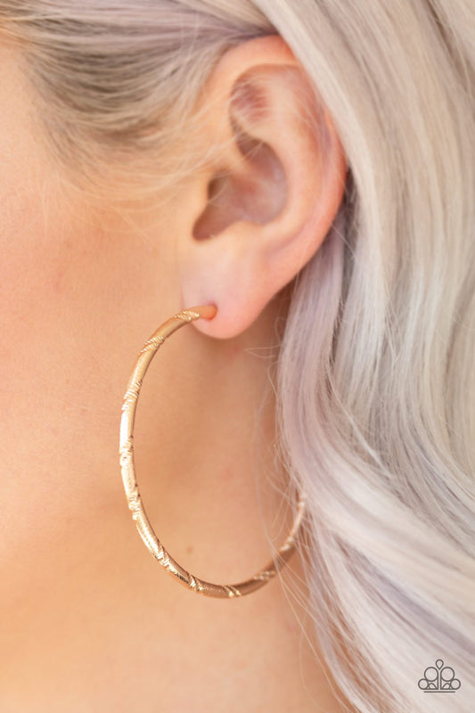 A Double Take-gold-Paparazzi earrings