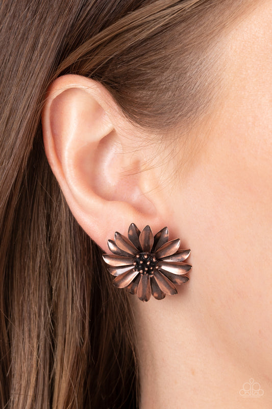 Daisy Dilemma - copper - Paparazzi earrings