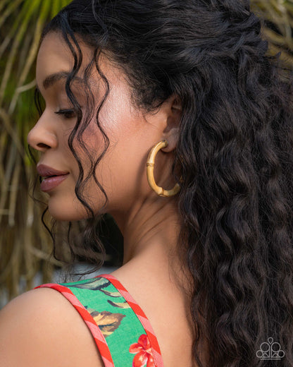 Bamboo Bravado - brown - Paparazzi earrings