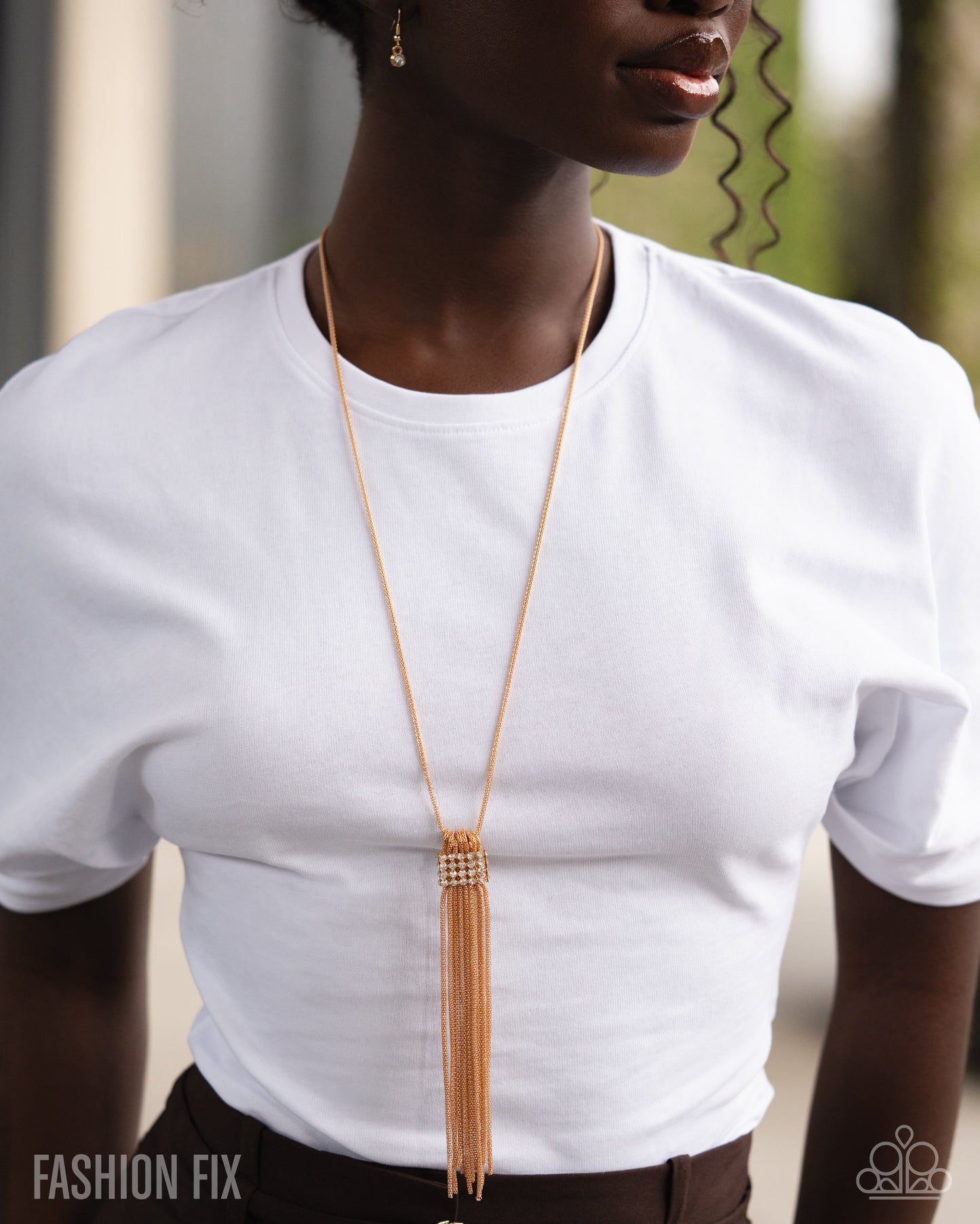 Magnificent Musings Complete Look - June 2026 - Paparazzi Accessories Trend Blend