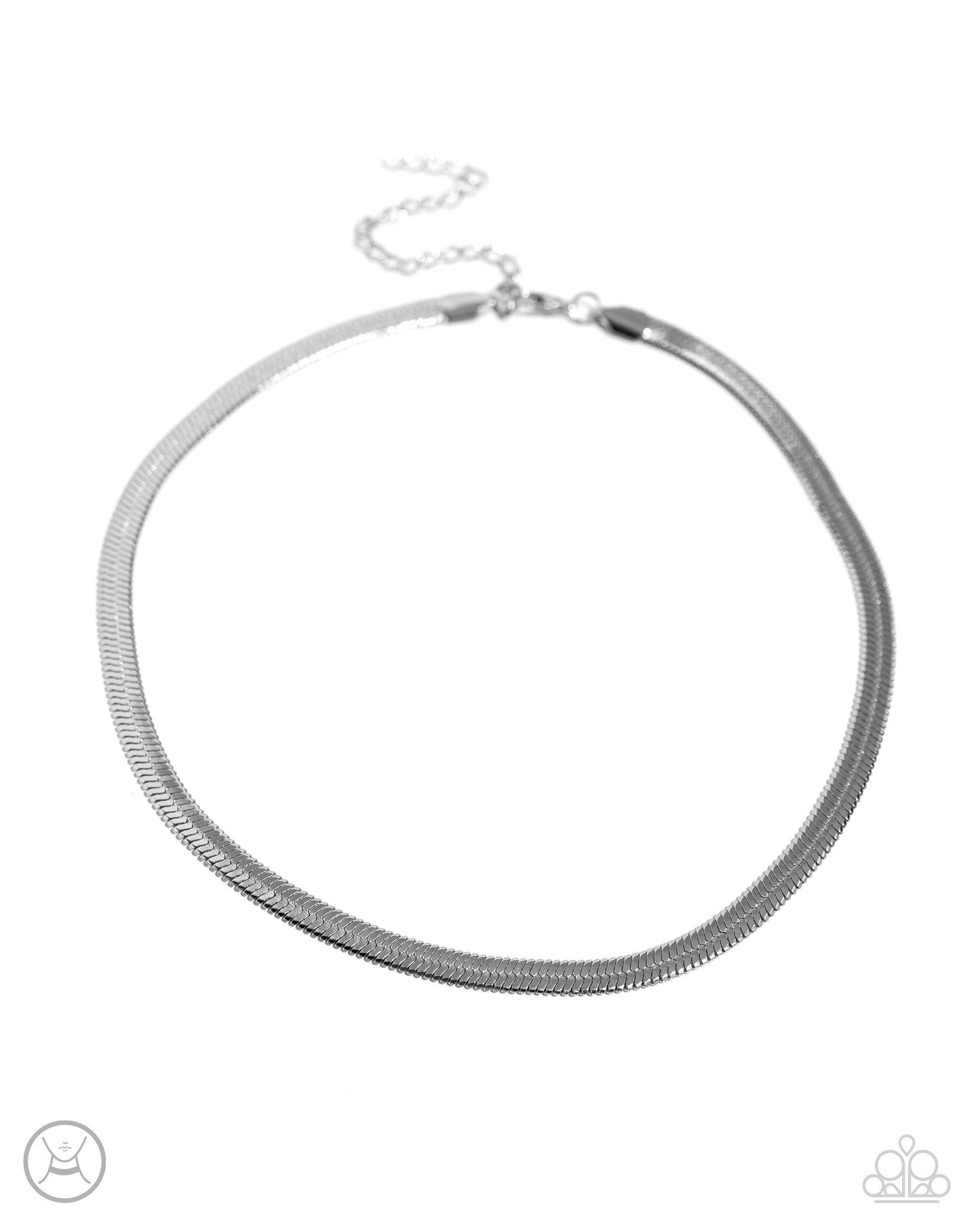 Musings Moment - silver - Paparazzi necklace
