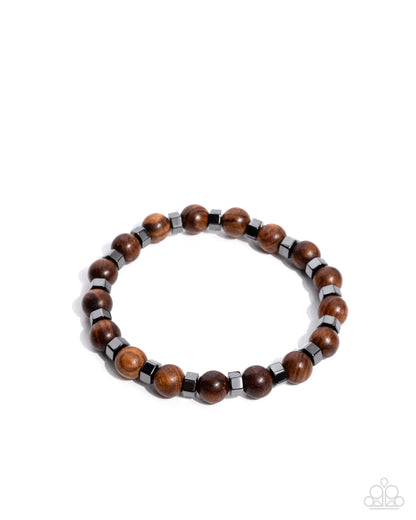Night Changes - brown - Paparazzi MENS bracelet
