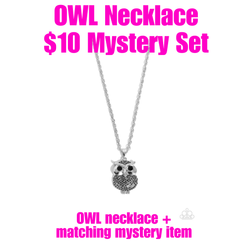 Opulent Wisdom - silver - Paparazzi complete set