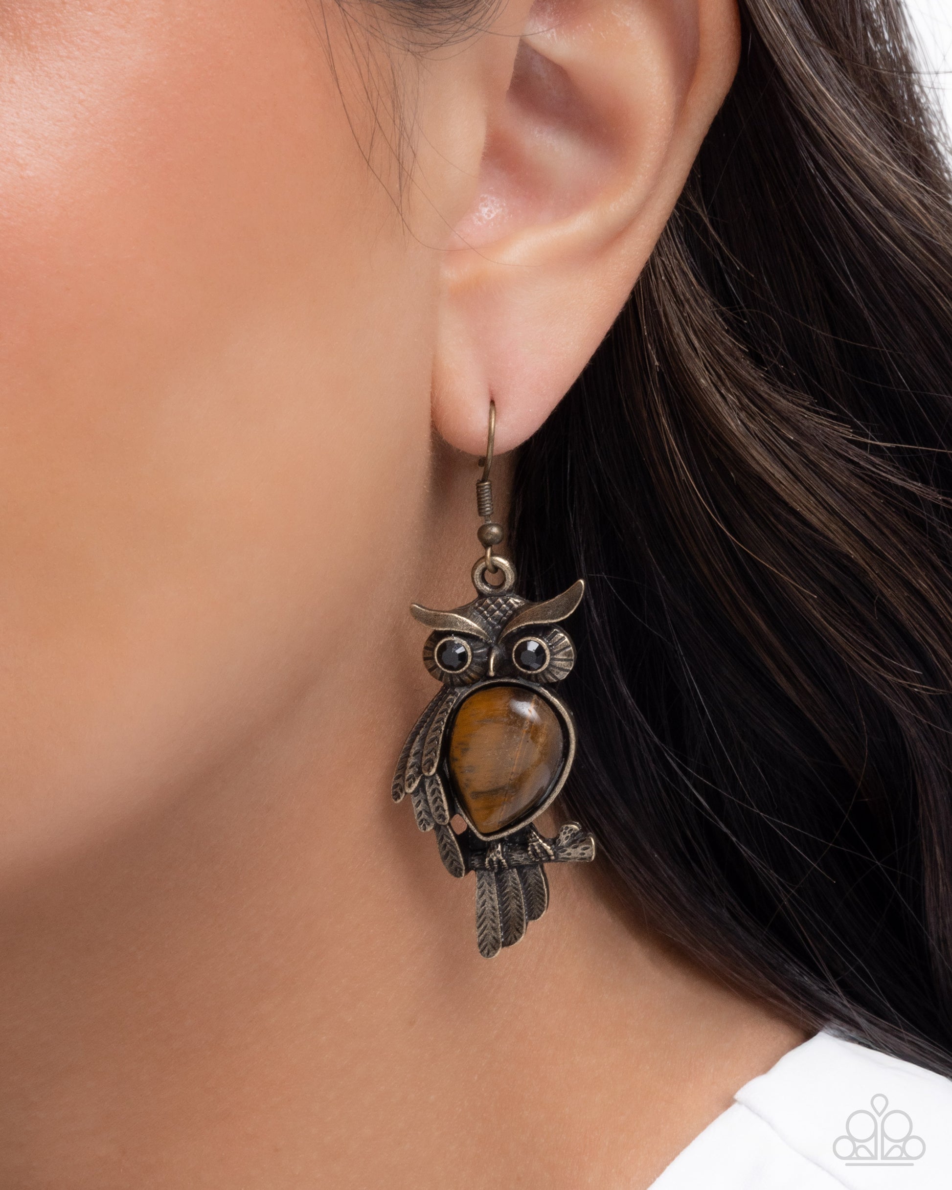 Owl Observation - brass - Paparazzi earrings