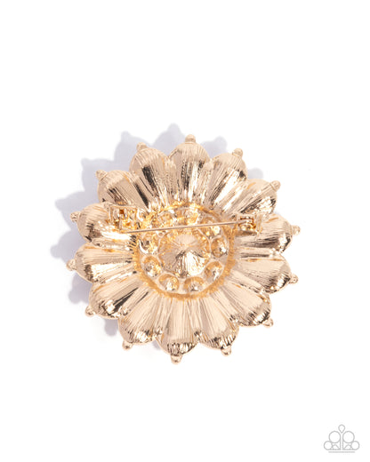 Polished Panorama - gold - Paparazzi brooch