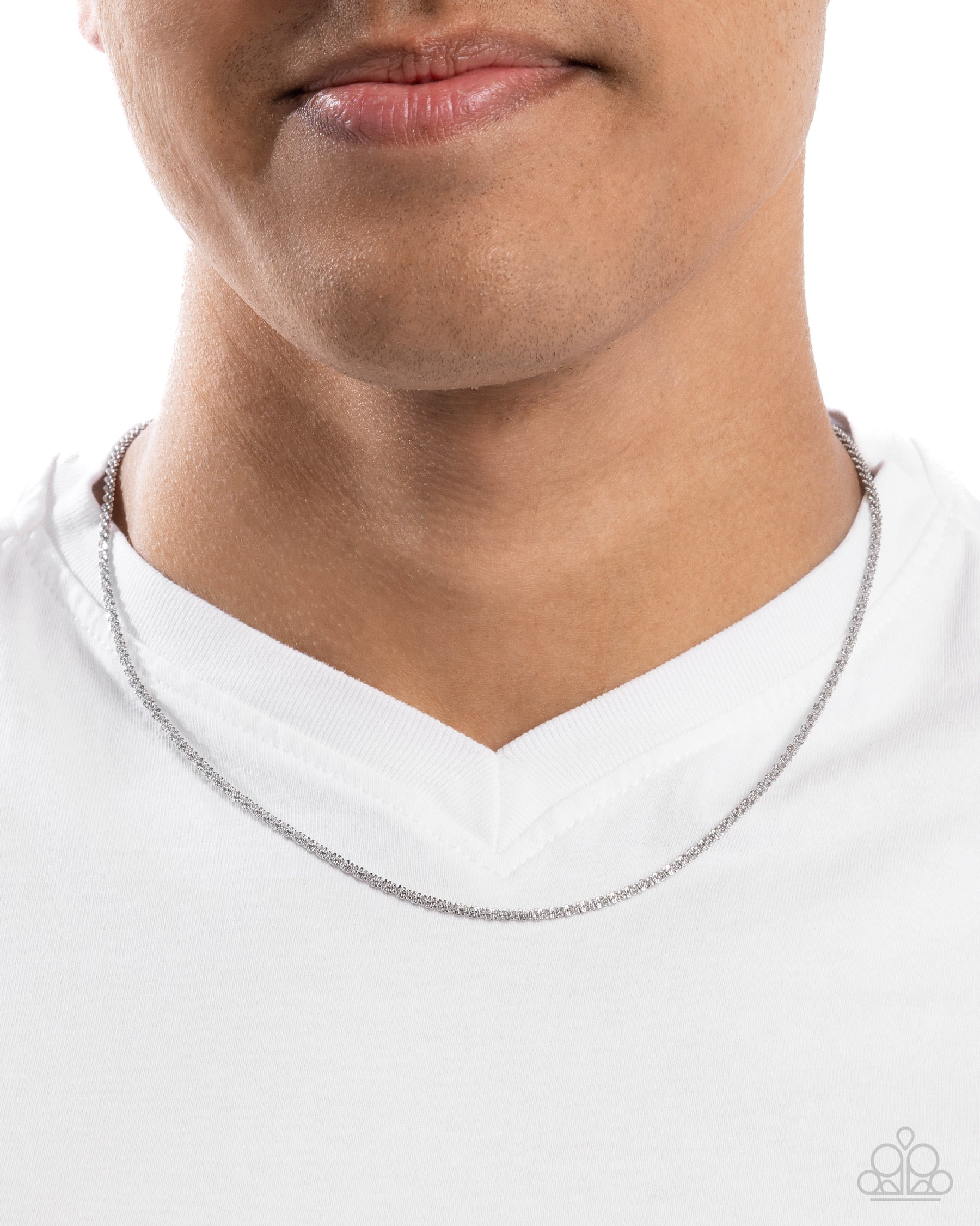 Stainless Souvenir - silver - Paparazzi MENS necklace