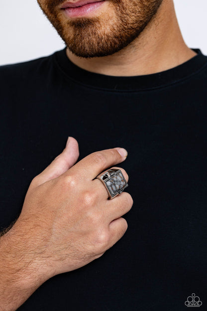 Startling Stones - silver - Paparazzi MENS ring