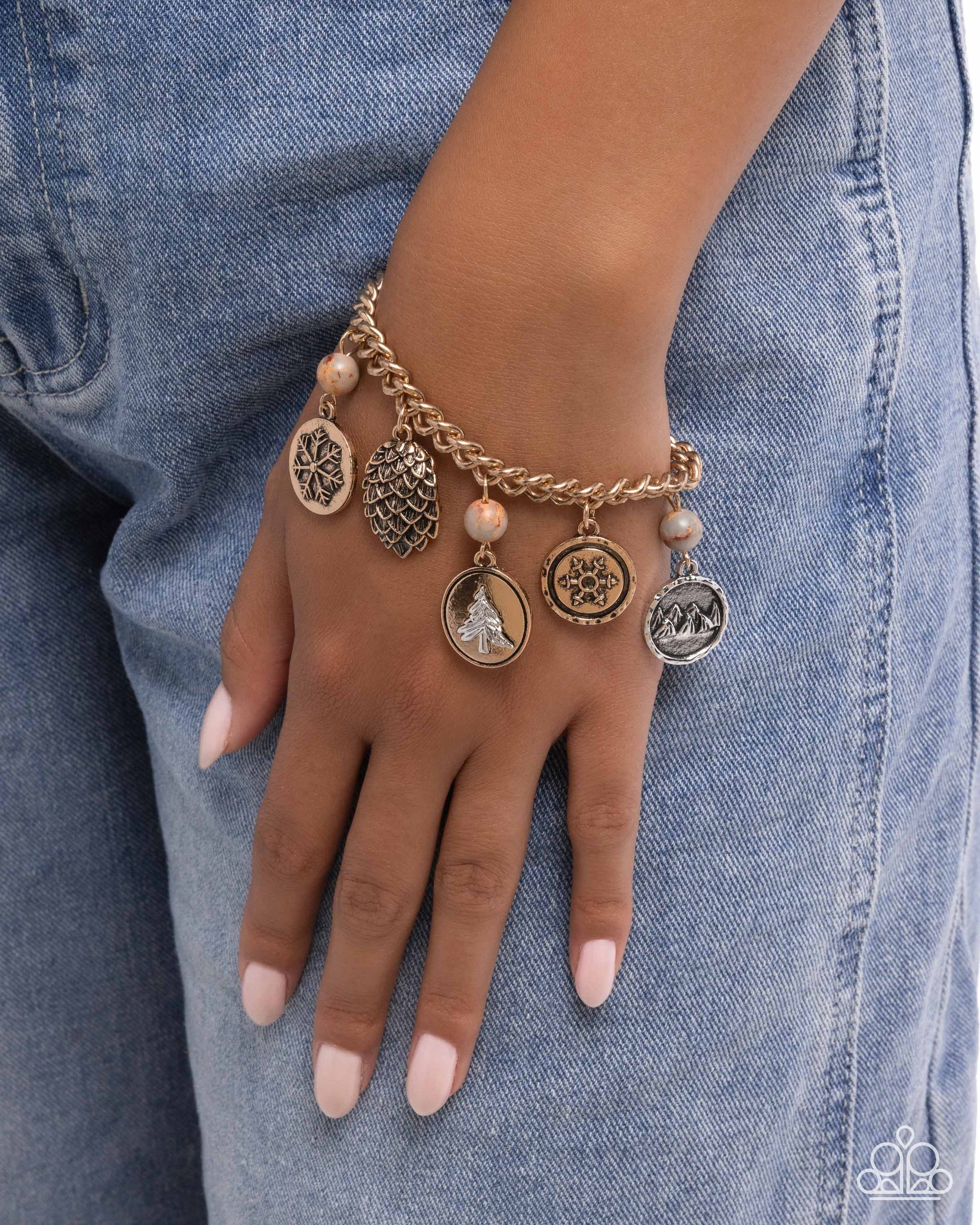 Wilderness Walk - multi - Paparazzi bracelet