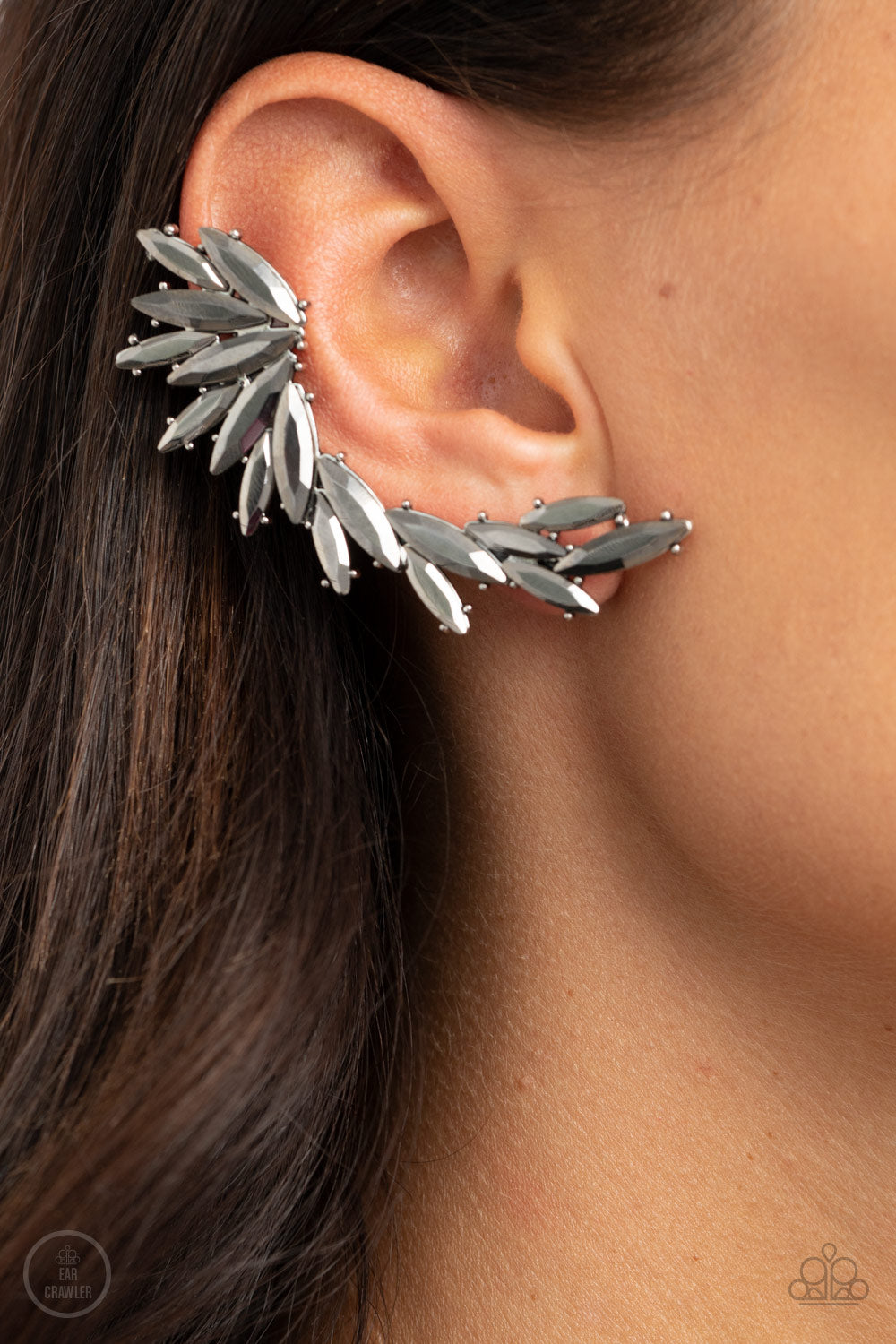 Because ICE Said So - silver - Paparazzi earrings