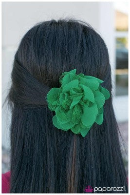 Born and Raised - Paparazzi hair clip