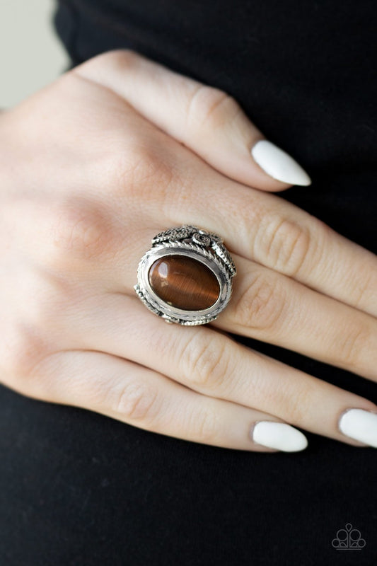Deep Freeze-brown-Paparazzi ring