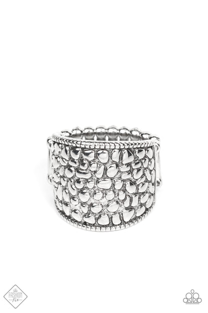 Dotted Decorum - silver - Paparazzi ring