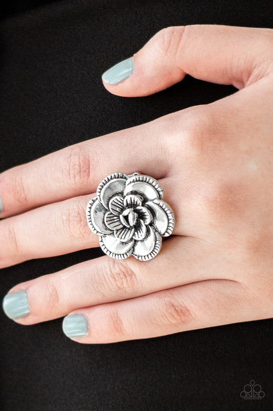 FLOWERBED and Breakfast - silver - Paparazzi ring