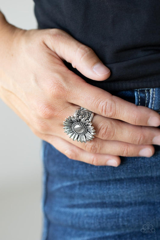 Farmstead Fashion - silver - Paparazzi ring
