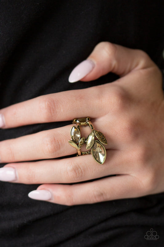Flawless Foliage - brass - Paparazzi ring