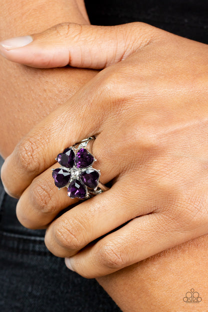 Minnesota Magic - purple - Paparazzi ring