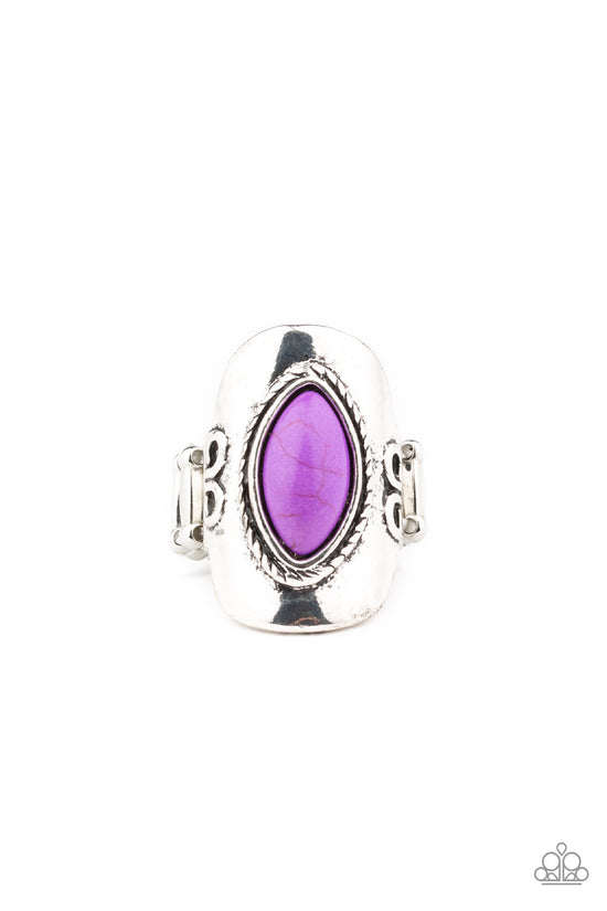 Plain Ride - purple - Paparazzi ring – JewelryBlingThing