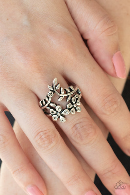 Secret Eden-silver-Paparazzi ring