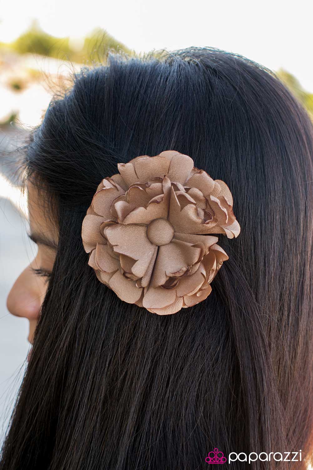 Shame On You - Brown - Paparazzi hair clip