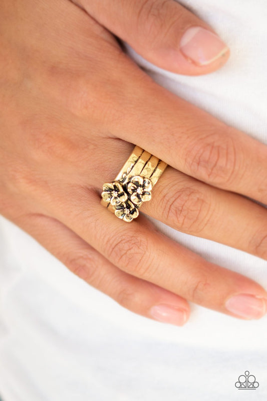 This Island is Your Island - brass - Paparazzi ring
