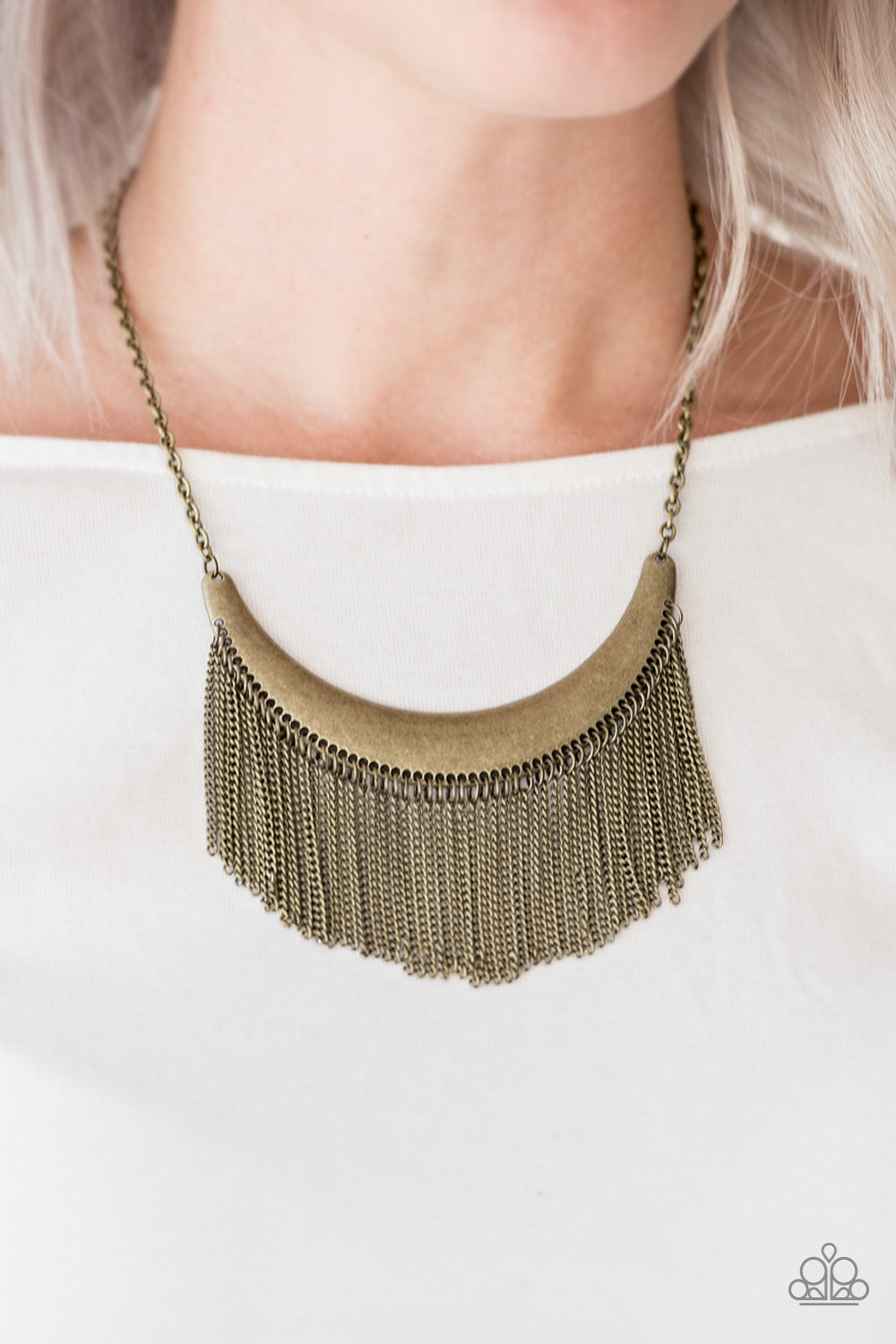 Zoo Zone - brass - Paparazzi necklace